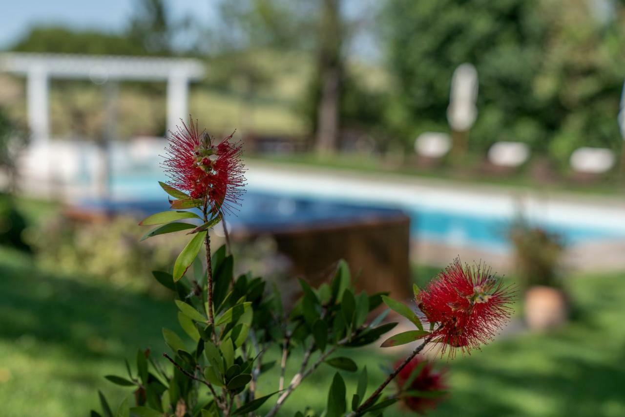 Le Maraclà Country House Iesi Exterior foto